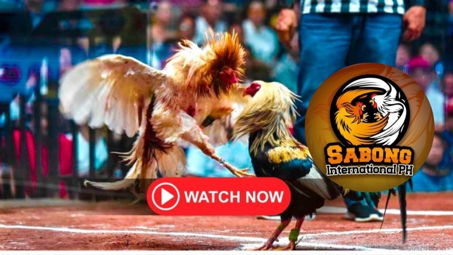 gcash login in chrome sigebet free 100 no deposit bonus